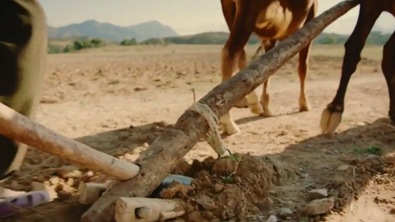 Fighting to farm – Trócaire Lent 2015 TV AD