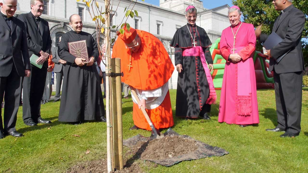Cathedral of Christ the King Mullingar 75 – tree planting