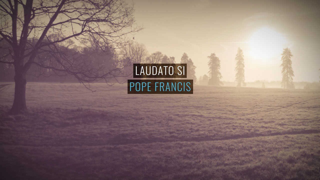 10 Quotes from Laudato Si