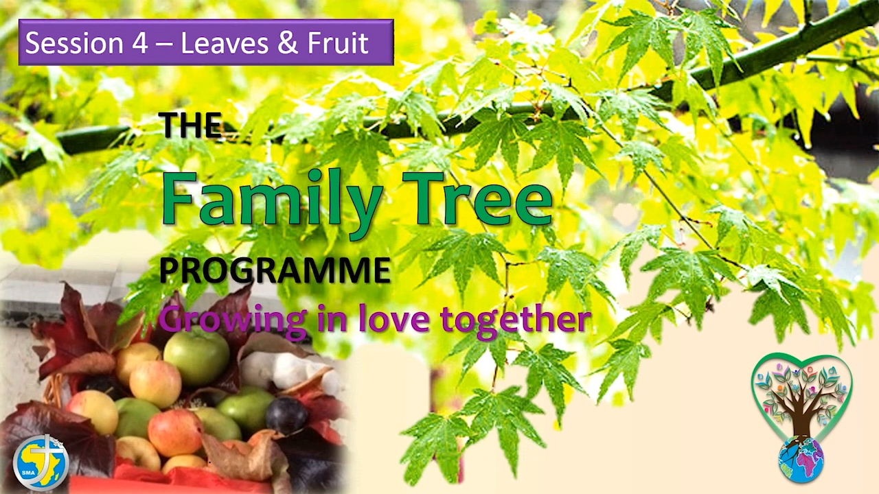 The Family Tree Programme – Session 4 – Leaves & Fruit