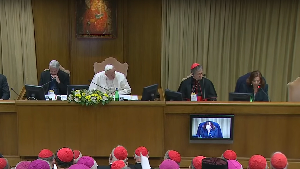 Vatican Meeting on the Protection of Minors – Michael Kelly
